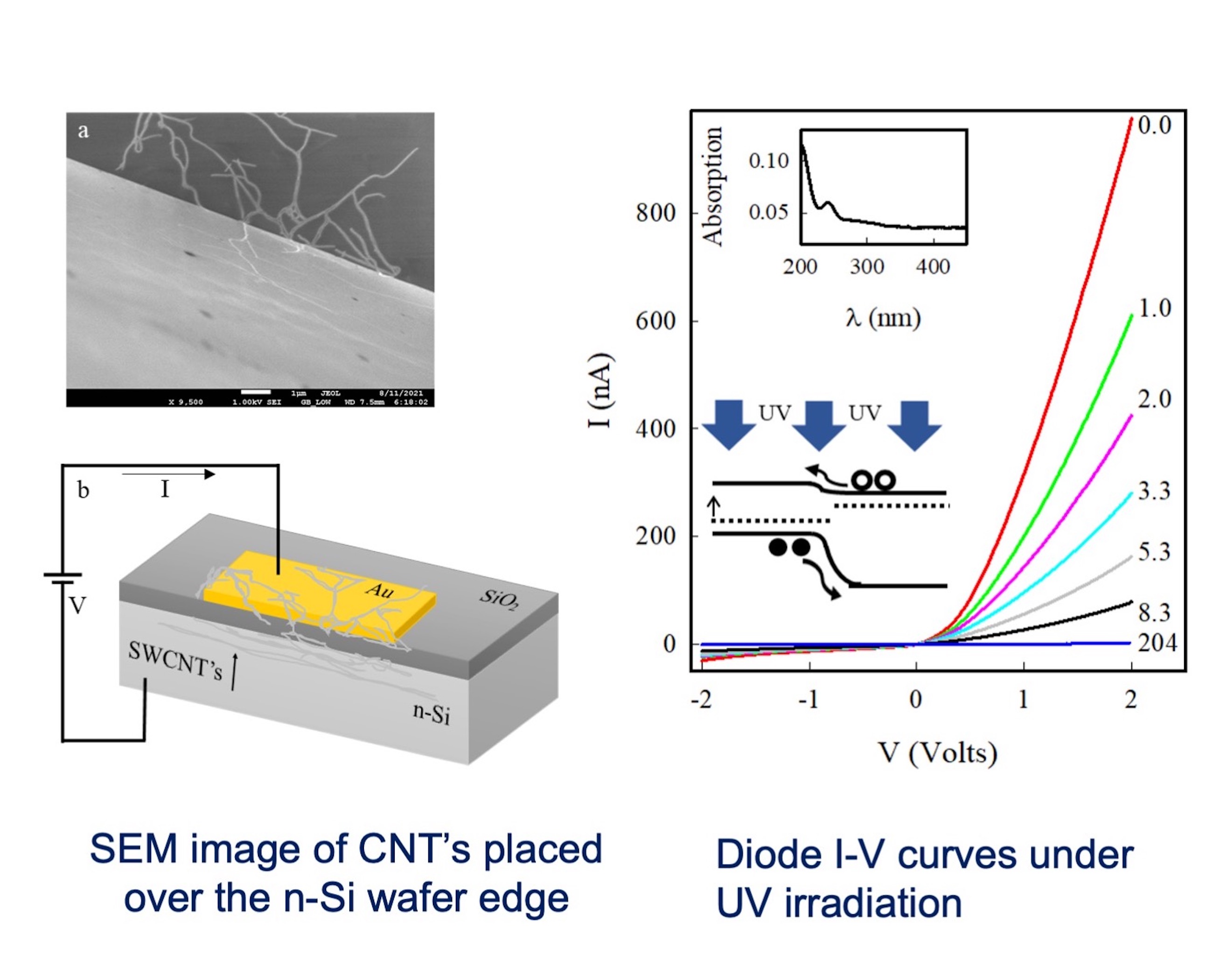 UV tunable carbon nanotube-based diode