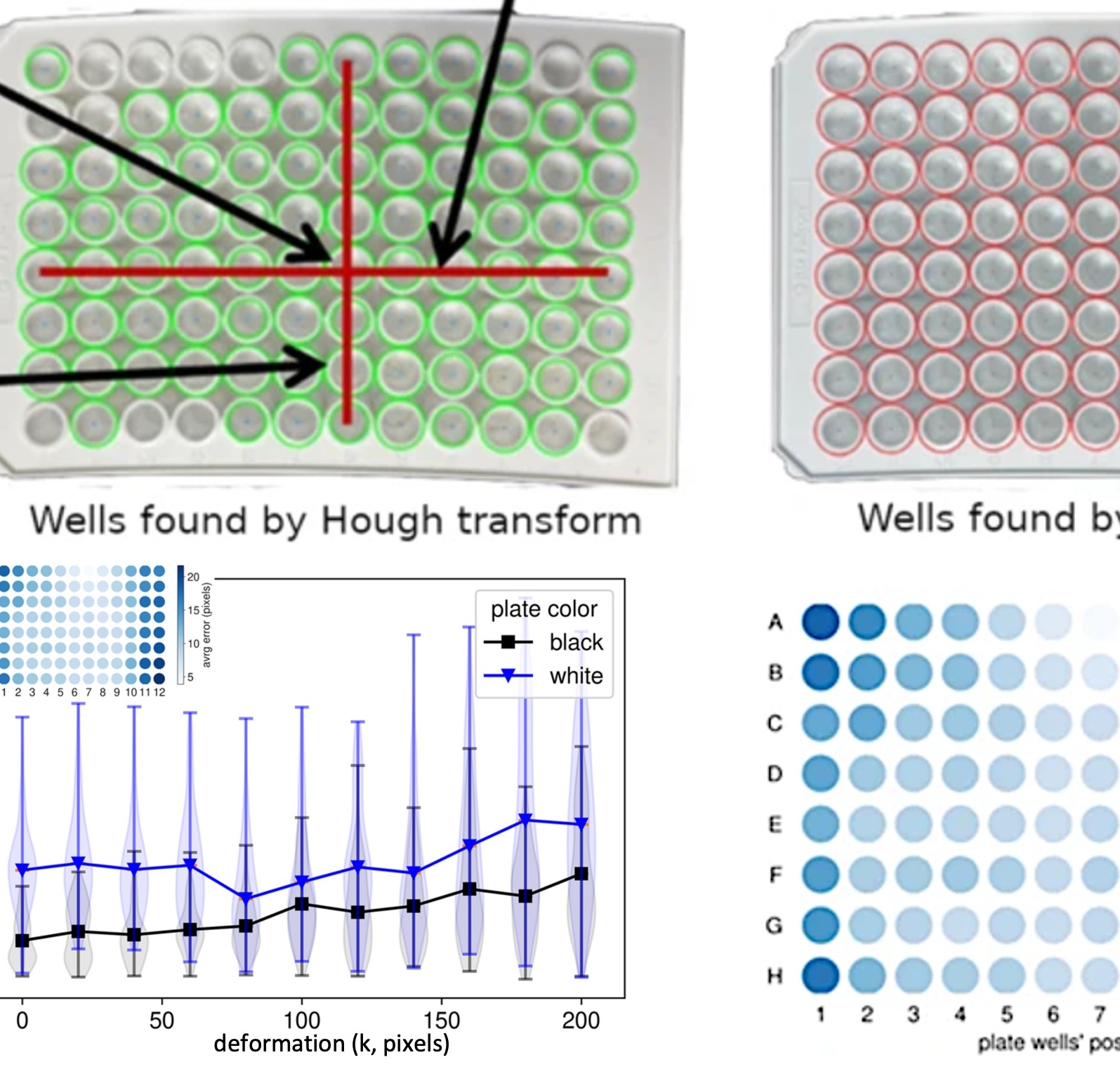 Growth and Characterization of Brownmillerites