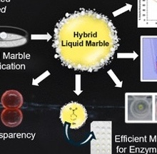 Hybrid Coating Liquid Marbles