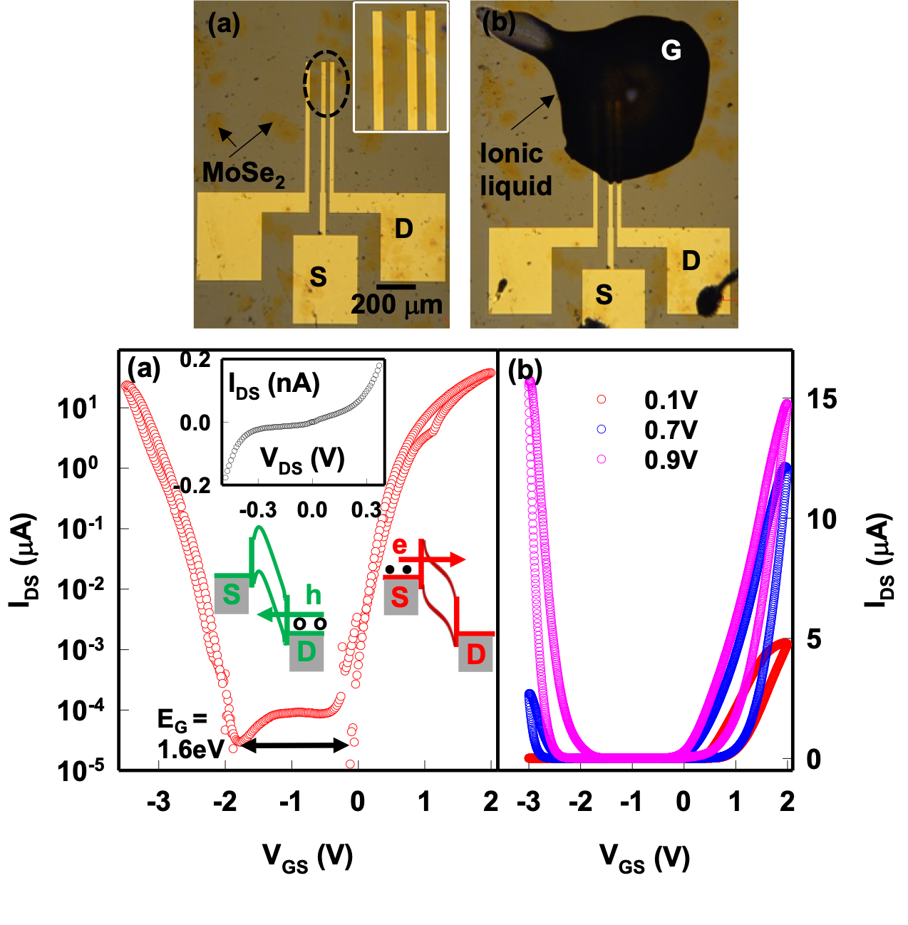 Ambipolar Transistor
